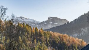 d'Alpen Apartments – Alpen Suite – Blick Richtung Berge
