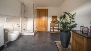 d'Alpen Apartments – Alpen Suite – WC und Dusche