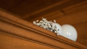 d'Alpen Apartments – s'Wälder Zimmer – Deko